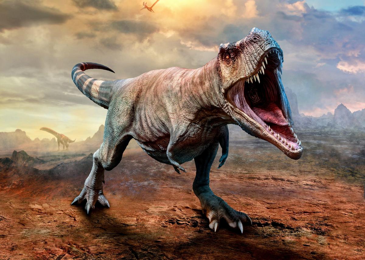 Jaws of predatory dinosaurs grew stronger as they evolved