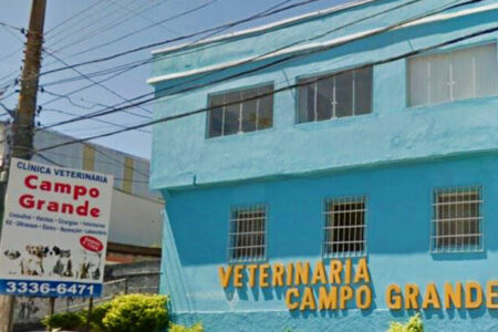 2022/01/20VeterinriaCampoGrande-768w.jpg