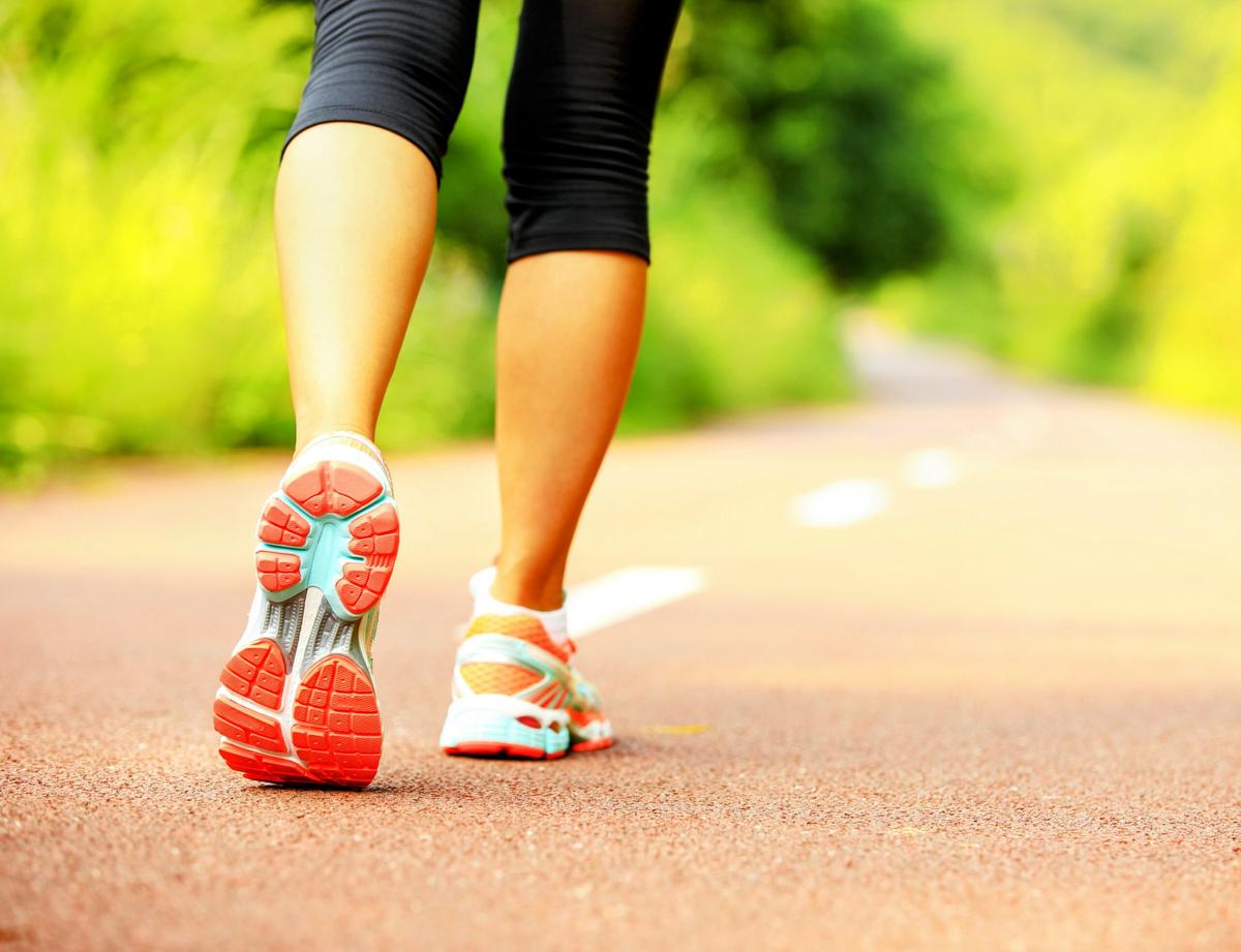 Neurons in the spinal cord coordinate walking