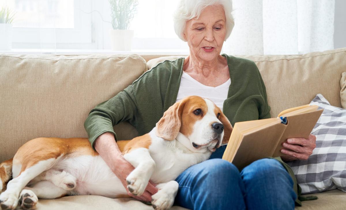 Pope criticized for comments on companion animals