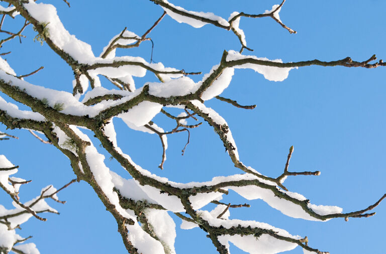 Winter Solstice