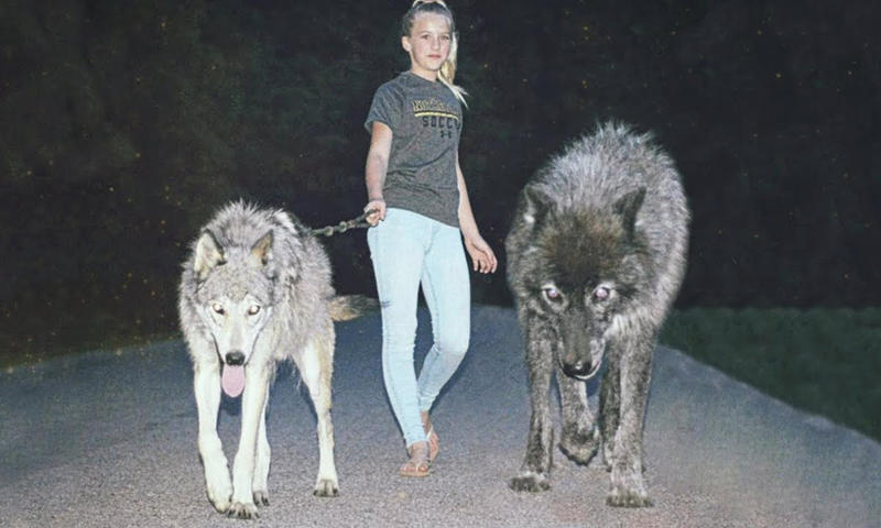 Animal Lover
