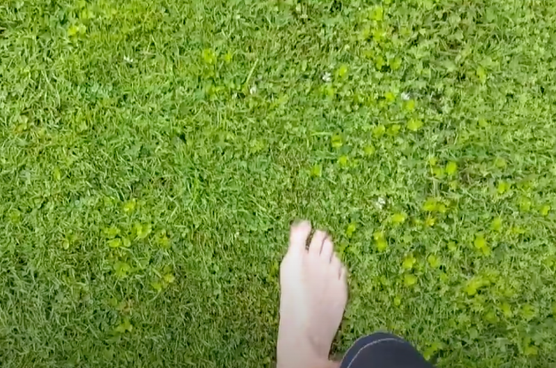 It Moves