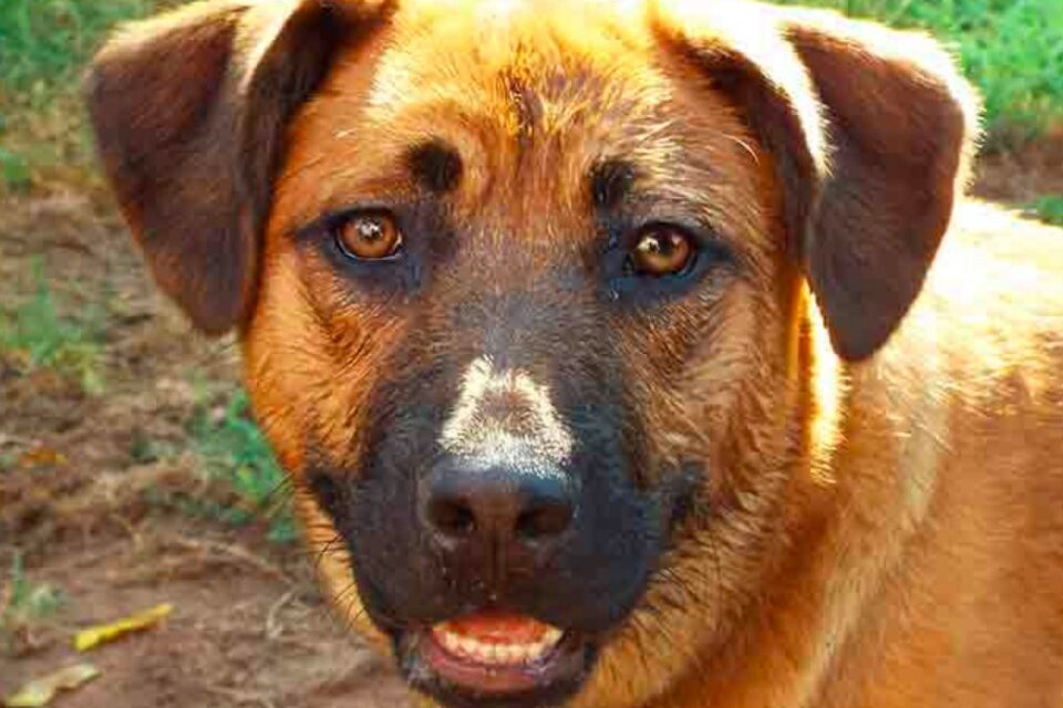 What's His Name?