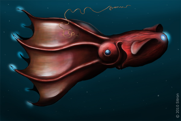No, the Vampire Squid Isn't As Scary As It Sounds