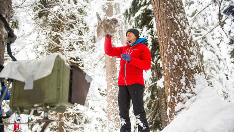 Reasons Behind Rainier's Risky Decision