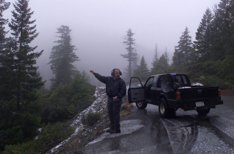 The Pacific Northwest