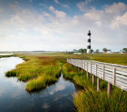 Coastal-wetlands.jpg