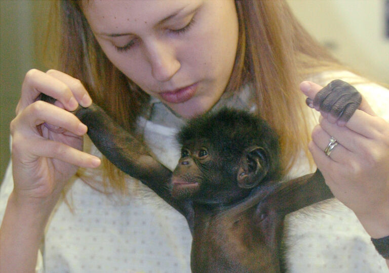 At the Mefou Primate Sanctuary