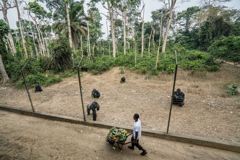 First Time for Everything