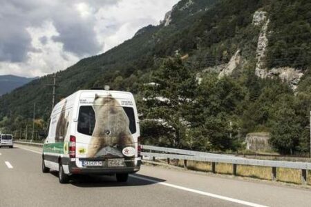 2022/02/ambulance-napa-bear-e1535128625998.jpg