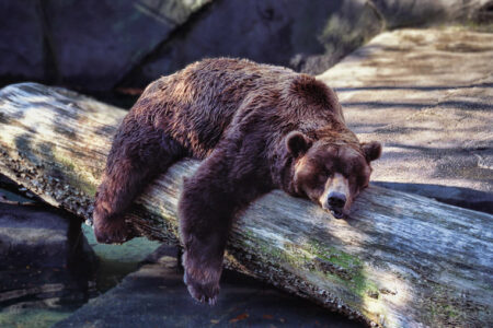 2022/02/sleep-768w.jpg