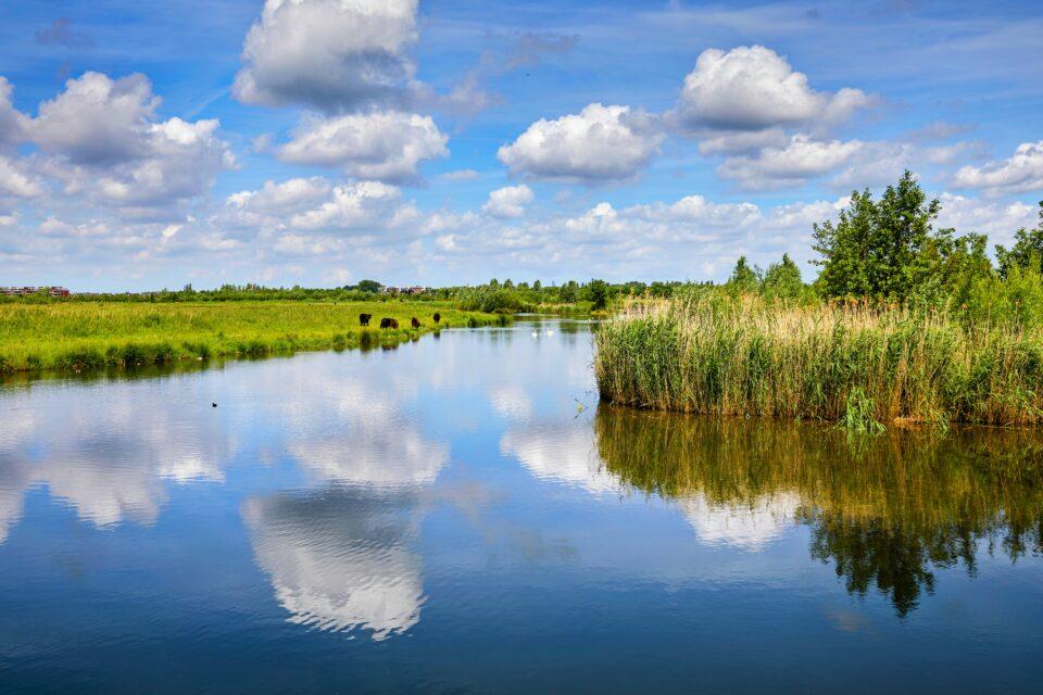 World Wetlands Day: an urgent call for awareness