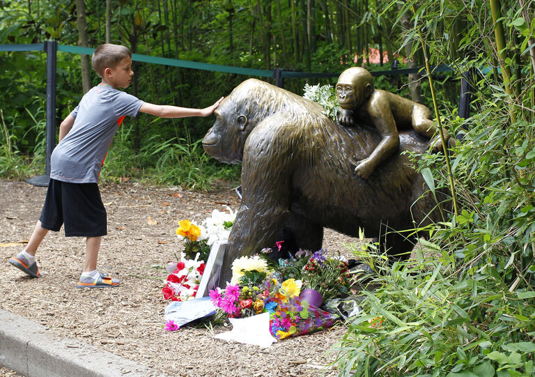 RIP Harambe