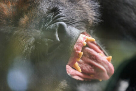 Places To Visit - Tenerife