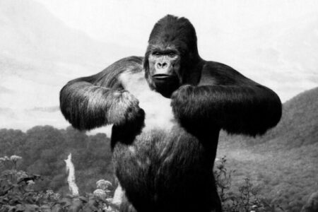 1940s STUFFED GORILLA...