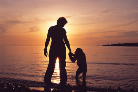 Uganda - Conservation - Jane Goodall Institute with protected chimpanzees on Ngamba Island