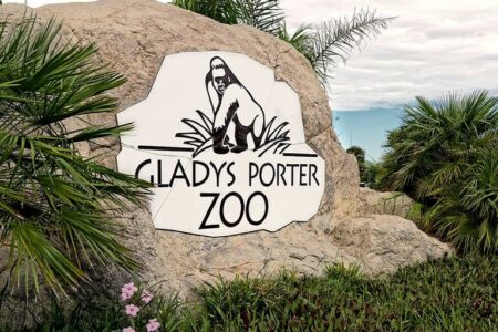 2022/02/Gladys_Porter_Zoo_Sign.v1-768w.jpg