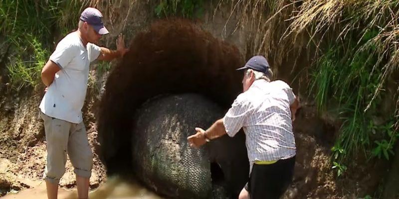 The Removal Of The Object