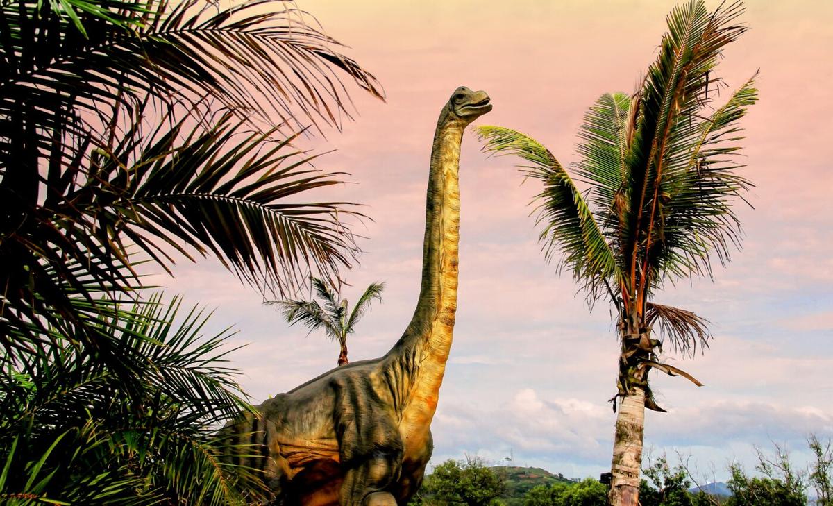 Study finds first evidence of a dinosaur with a respiratory infection