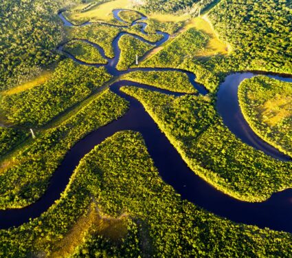 Amazon-deforestation2.jpg