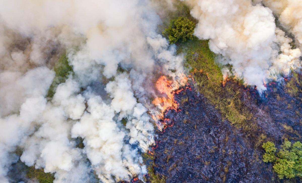 Fires are intensifying with an increase in "flammable nights"