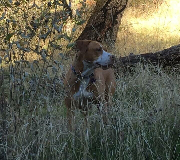 She Found A Home!