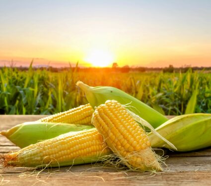 Crop-production.jpg