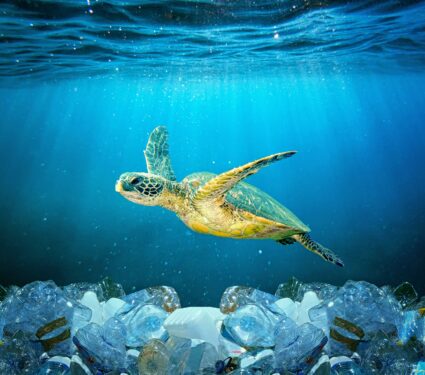 Plastic-waste.jpg