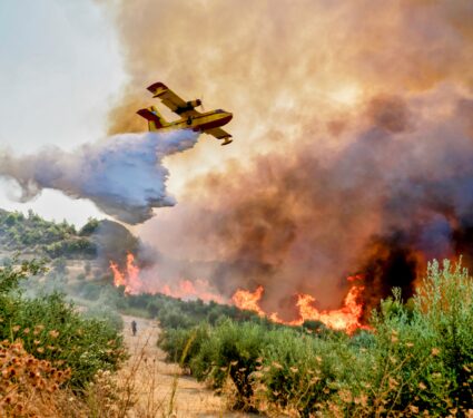 Fires.jpg