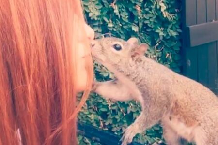 2022/02/24-Instagram-cidandbella.jpg