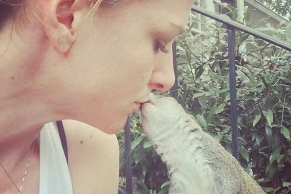 One Special Squirrel