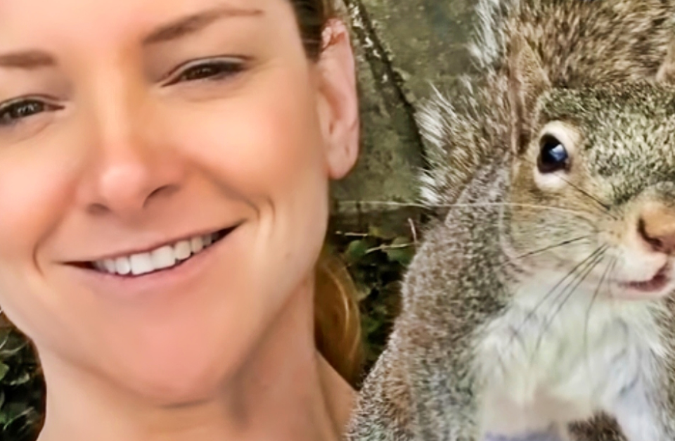 We Are The Shoemakers