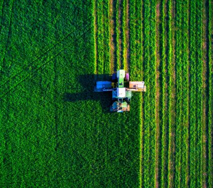 Crop-production2.jpg