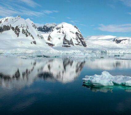 Antarctic-fish.jpg
