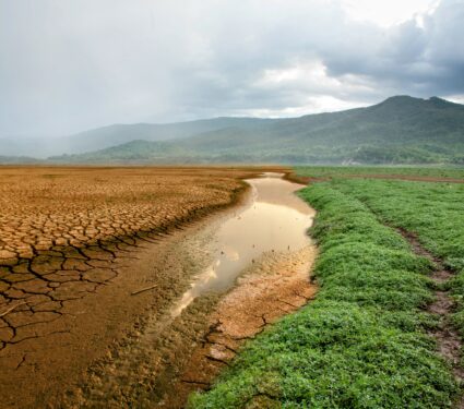 IPCC-report.jpg