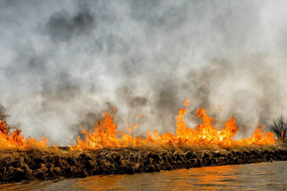 CFCs are not the only culprit – bushfire smoke may also destroy ozone