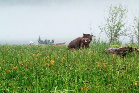 2022/03/16-Great-Bear-Lodge.jpg
