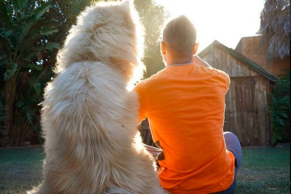 Different To The Others