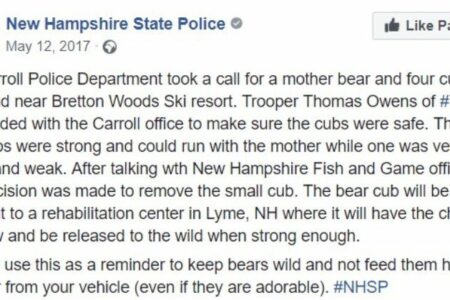 2022/03/47-Facebook-New-Hampshire-State-Police.jpg