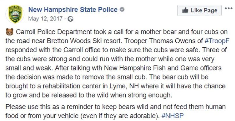 Heroic Trooper