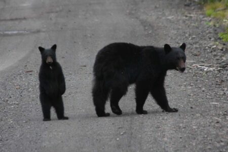 2022/03/41-Stef-Olcen-Photography.jpg