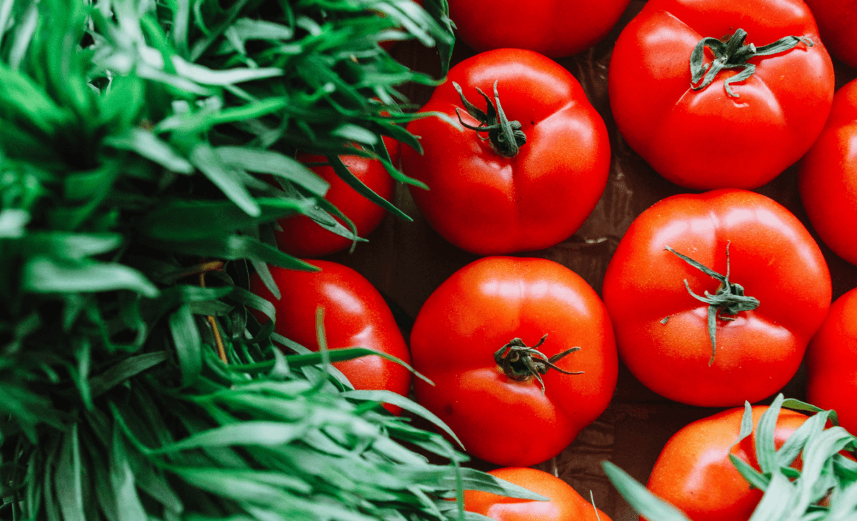 Tomato domestication was more complex than previously thought