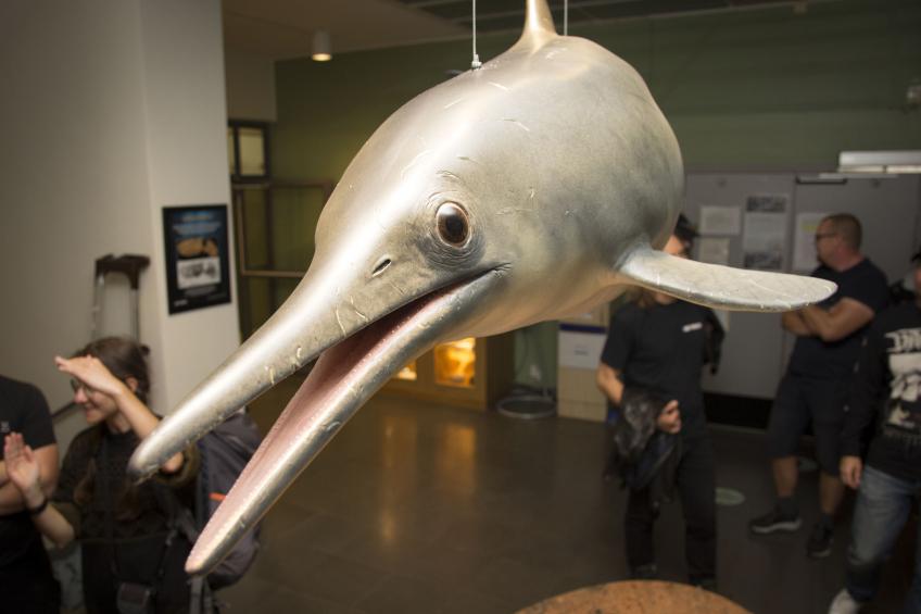 Scientists reconstruct an ancient fish lizard