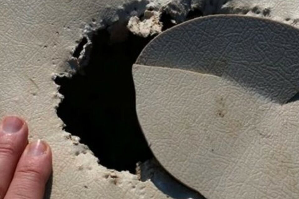 Illegal Animal Trades