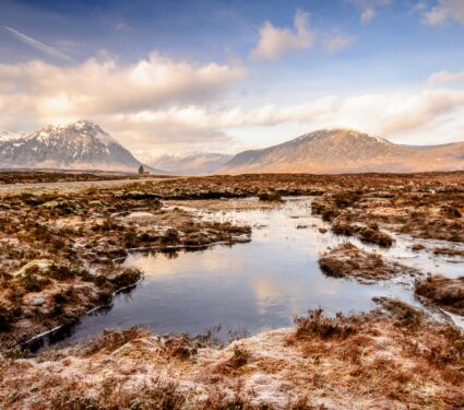 Peatland4.jpg