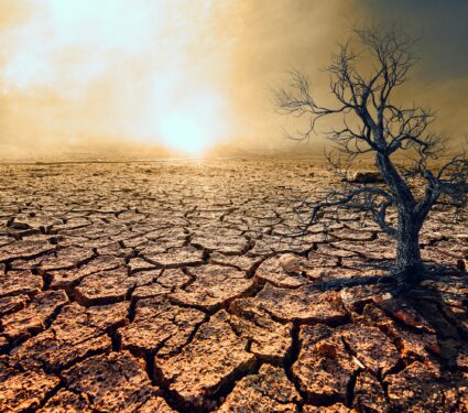 Drought2.jpg