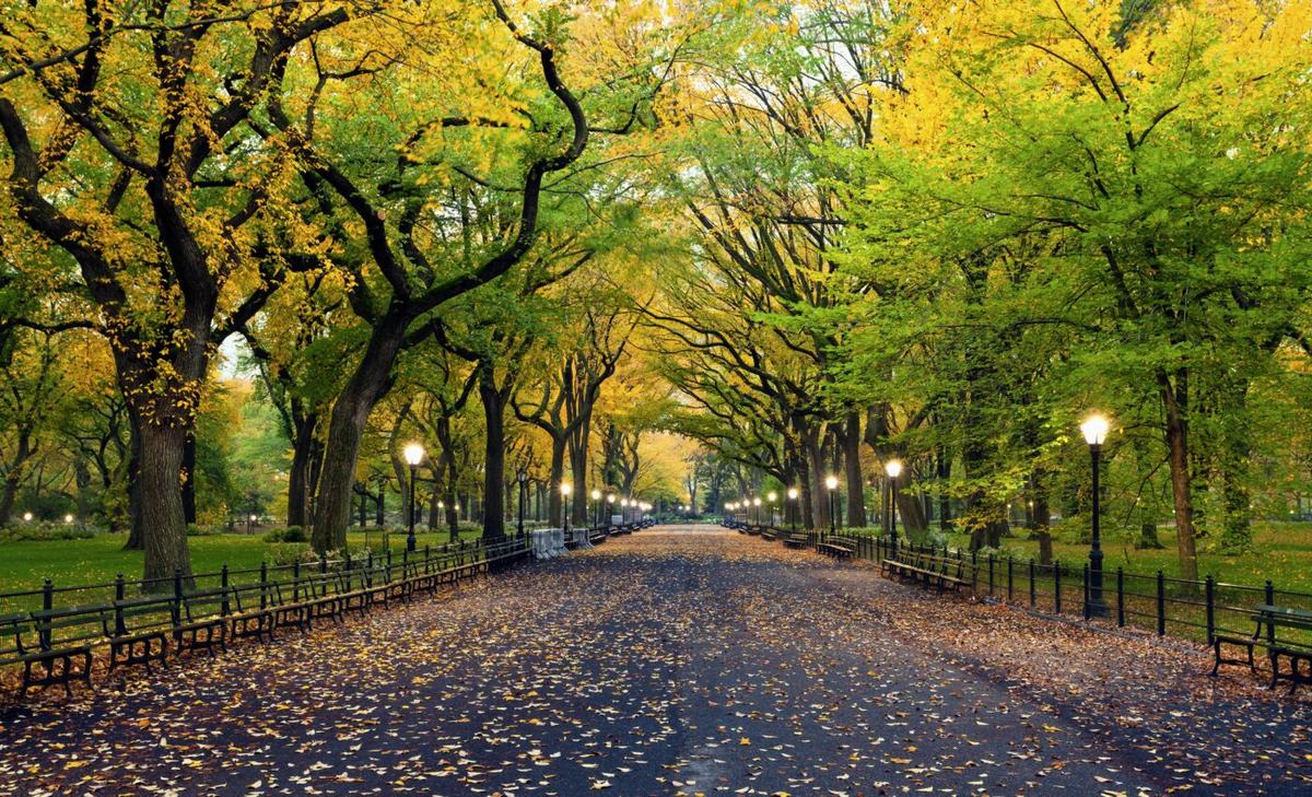 Living near green space reduces the risk of stroke