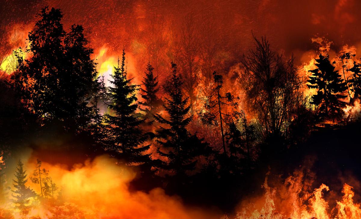 Brown carbon released from wildfires is warming the Arctic