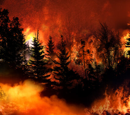 Massive,California,Wilde,Fire,Forcing,Thousands,Of,People,To,Evacuate